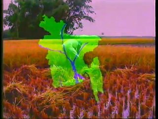 লজিক ফাংশন-Logic Function-DCSA-Computer Basics-SST-2-Bangladesh Open University