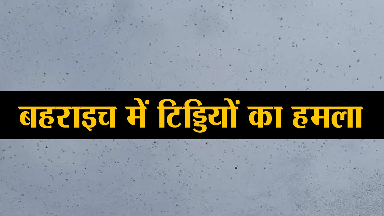 बहराइच में टिड्डियों का हमला