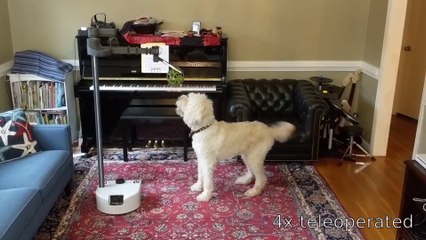 Stretch RE1_ the first device from Hello Robot