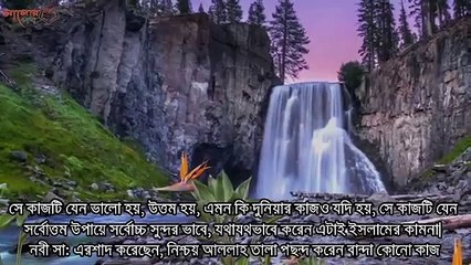 ১টি আমলই পবিত্র কুরআনে বেশি বেশি করতে বলা হয়েছে। বিনিময়ে মনের সকল আশা আল্লাহ্ পুরণকরবেন ইনশাআল্লাহ্ !!