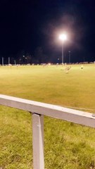 Kangaroos Just Want to Play Aussie Rules