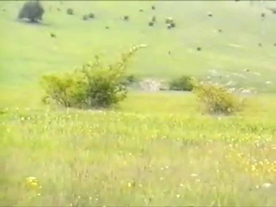 Сашо Роман - Девет / Sasho Roman - Devet