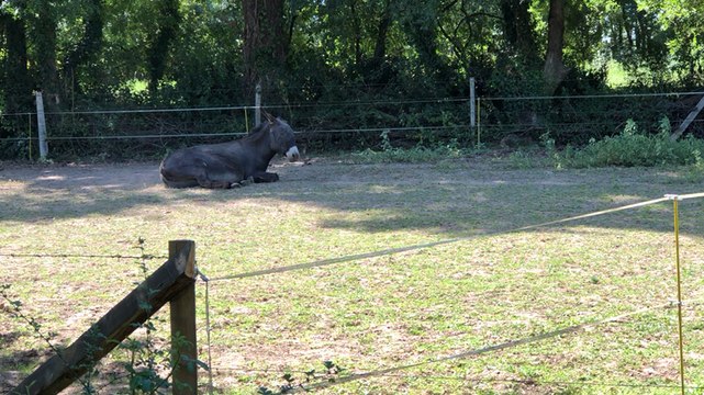 Un camion en feu : les 36000 litres d’hydrocarbure polluent le ruisseau de l’Orcerie près de Nantes