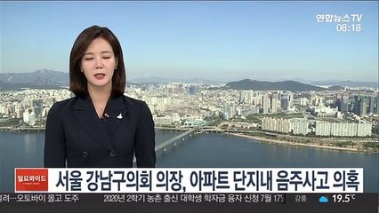 서울 강남구의회 의장, 아파트 단지내 음주사고 의혹