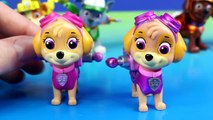Nickelodeon Paw Patrol Limited Edition Action Pack Pups Metallic Series  Marshall Chase Rocky Skye