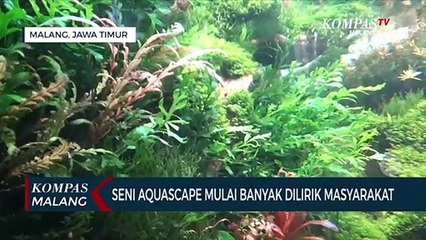 Penghobi Aquascape Meningkat Selama Pandemi