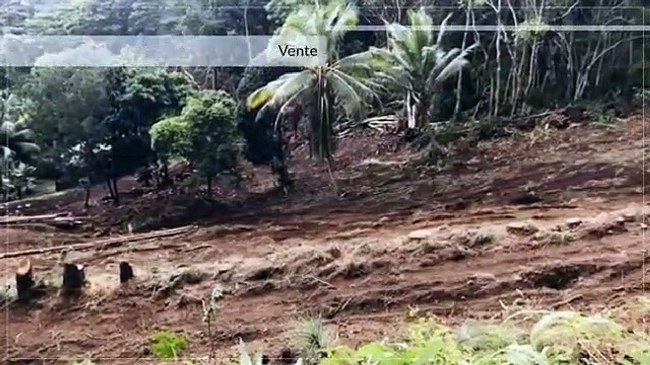 Terrain de 6000 m2 – Punaauia vue Moorea