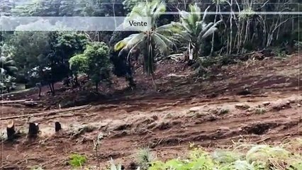 Terrain de 6000 m2 – Punaauia vue Moorea