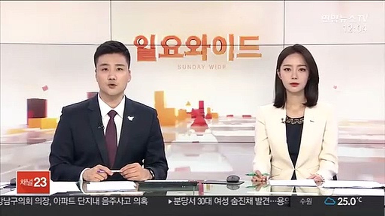 포항서 무면허 사고 후 뺑소니 한 10대 검거