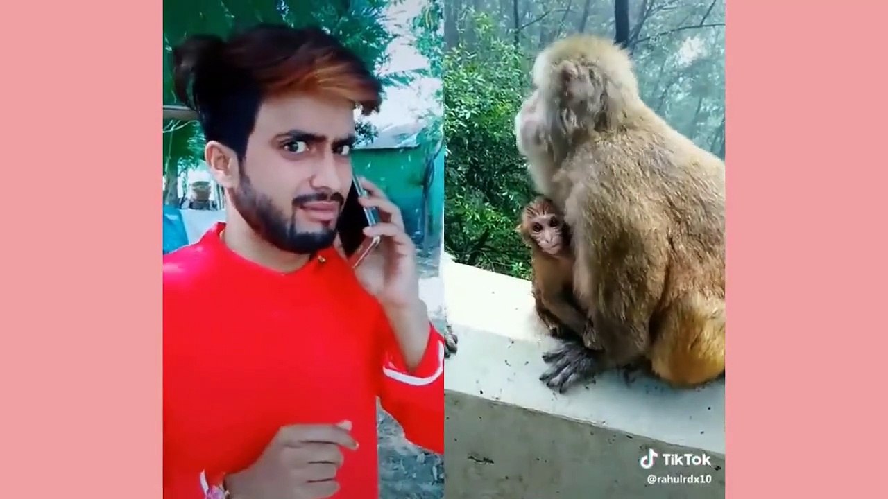 Tik Tok Funny Video