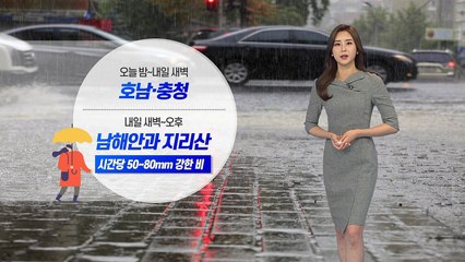 [날씨] 오늘 밤~내일 새벽 호남·충청 많은 비 / YTN