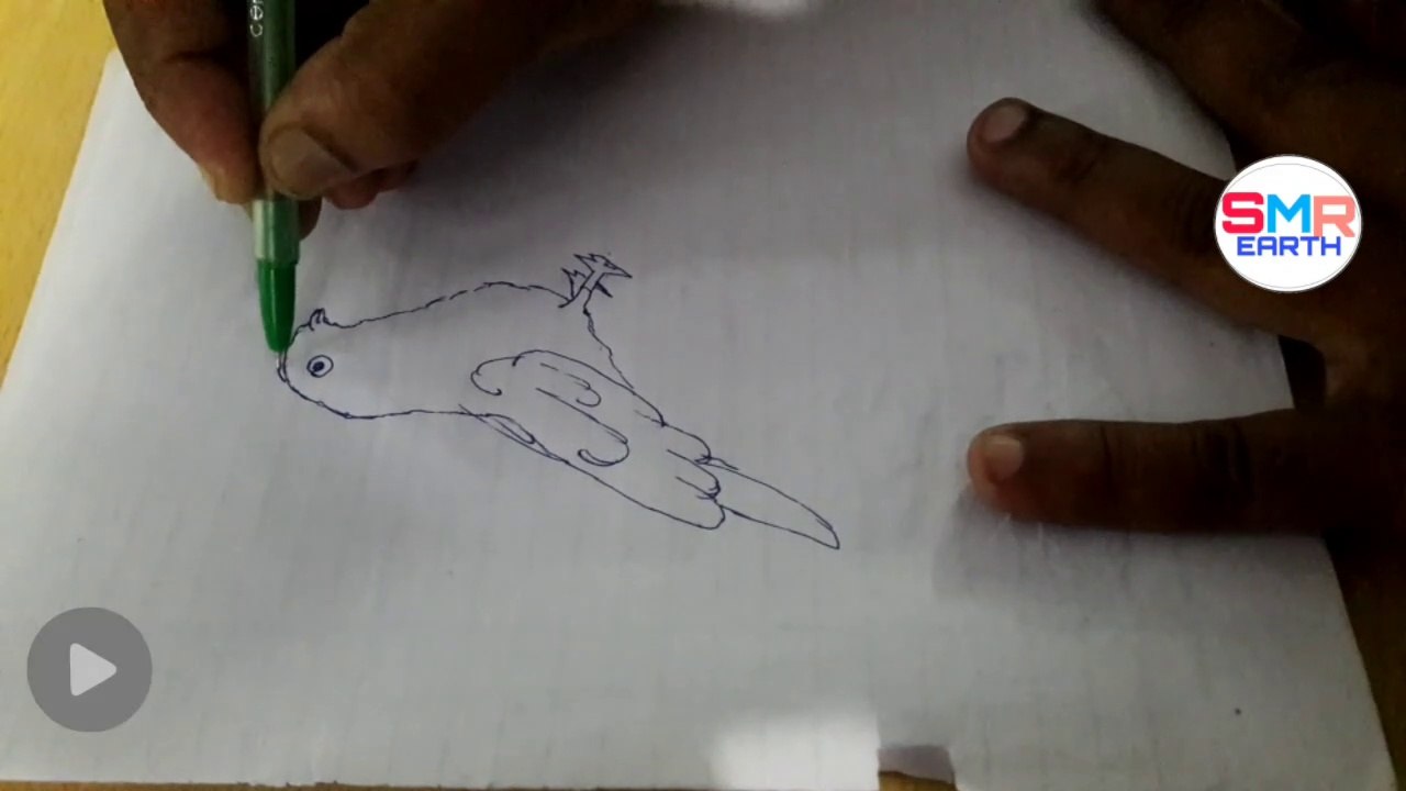 Draw Pigeon