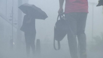 [날씨] 전국 장맛비 확대...밤부터 충청·남부 집중 호우 / YTN