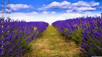কিভাবে পিসিতে ডাটা চালানোর সময় অতিরিক্ত ডাটা খরচ কমাবেন/How to Reduce Over Data Cost when we browse internet in pc?