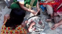 Amazing Big Fish Fry Recipe - Big Fish Recipe Cooking By Our village kids