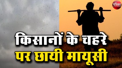 Download Video: श्रावस्ती जिले में भी पहुंचा टिड्डी दल