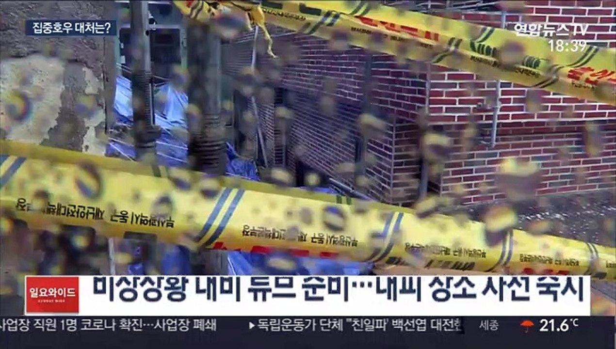 잦아지는 장마철 폭우…집중호우 대처 요령은