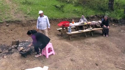 İZOLE TATİLİN ALTERNATİF ADRESLERİ YAYLALAR - Dumanlı Yaylası izole piknik imkanı sunuyor - ERZİNCAN