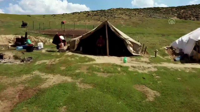 Terörden temizlenen yaylalar koyun sürüleriyle doldu - MUŞ