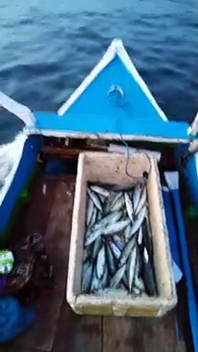 fishing #Mancing Mania