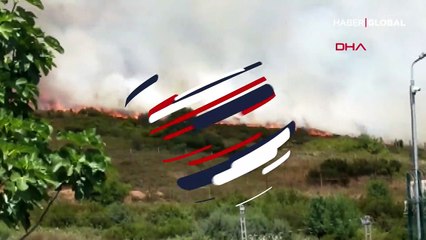 Tuzla'da otluk alanda yangın