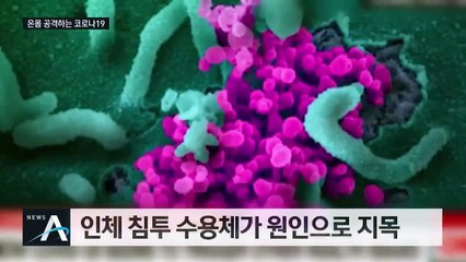 “신장·심장·뇌 등 손상시켜”…온몸 공격하는 코로나19