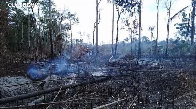 Brésil : déforestation record de l'Amazonie au premier semestre