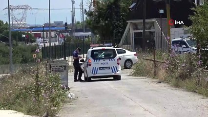 Tuzla’da otluk alanda yangın çıktı, çekirgeler kaldırımı işgal etti