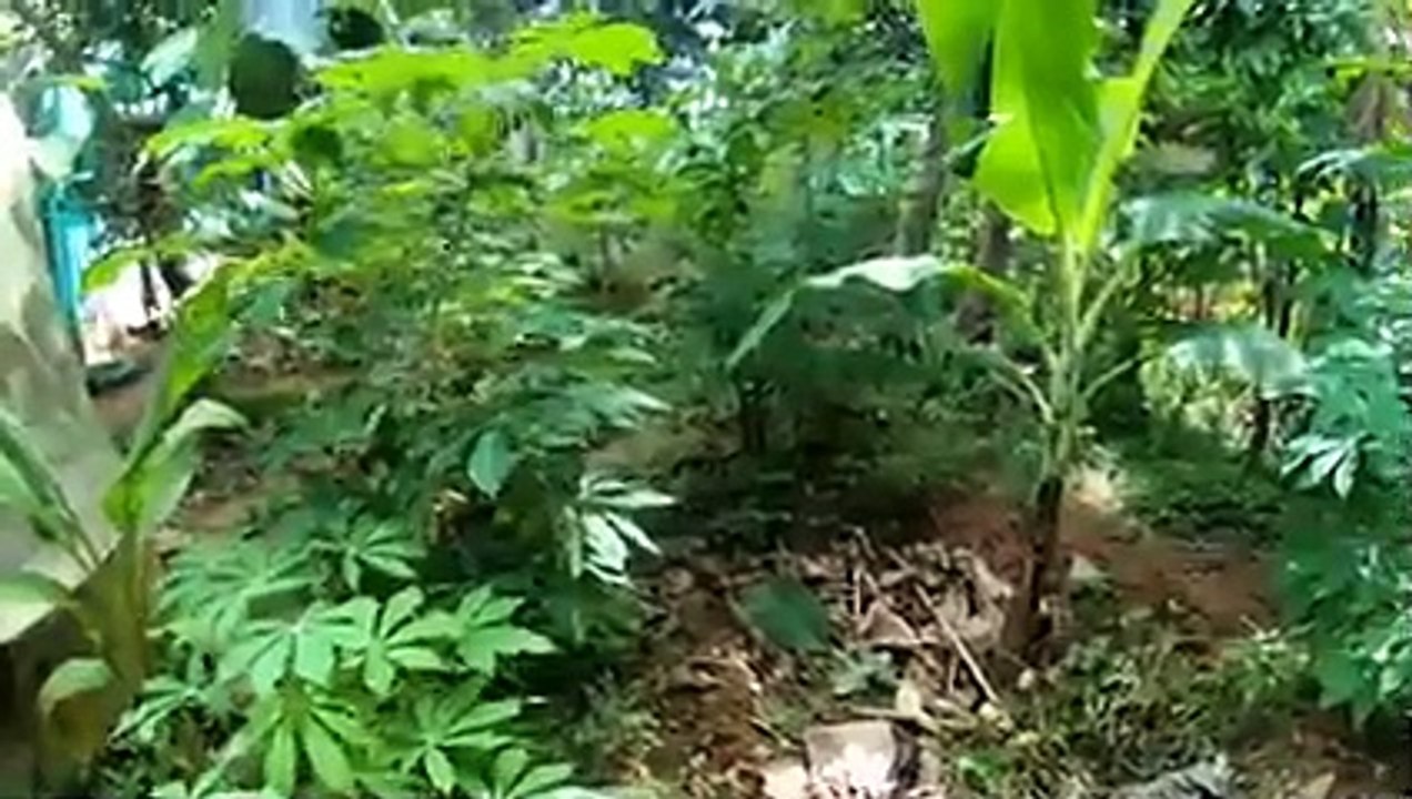 നമ്മുടെ ഒരു ദിവസം _ day in our life _ dream rider2(240P)_1