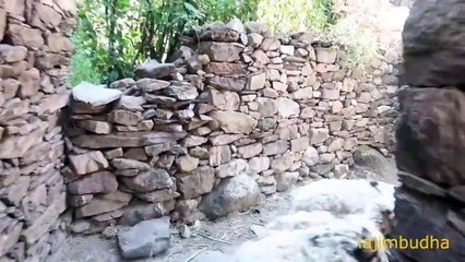 sheep herd enter into the himalayan village sheep farm pastoral life nepali shepherd