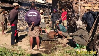 villagers having lunch in group village food pork curry nepali  food delicious