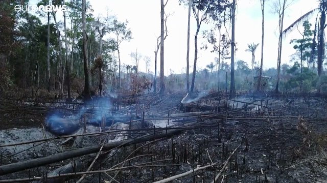 Brésil : déforestation record de l'Amazonie au premier semestre
