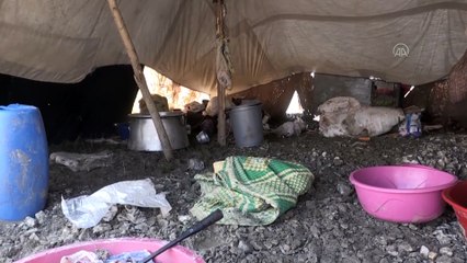 Hasara neden olan selin yaraları sarılıyor - AĞRI