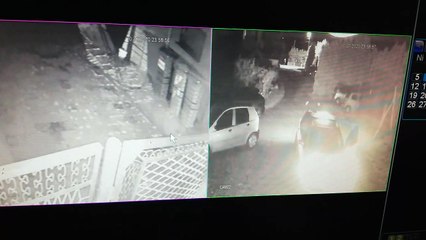 Kwarantanna 2 - nocny nalot psów v.2