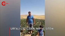 AKP'ye oy verdiğini söyleyen çiftçi böyle isyan etti