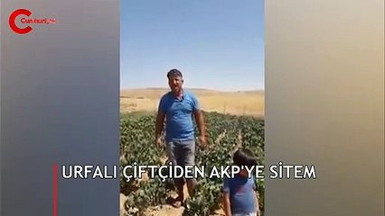 AKP'ye oy verdiğini söyleyen çiftçi böyle isyan etti