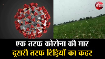 एक तरफ कोरोना की मार, दूसरी तरफ टिड्डियों का कहर