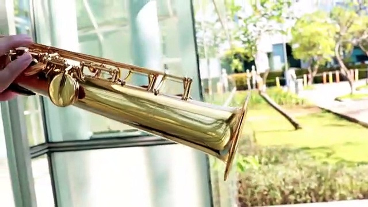 Shawn Mendez - Señorita (Saxophone)