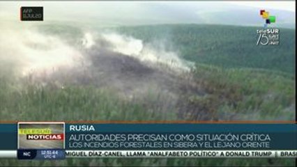Incendios forestales en Rusia aumentaron a más de 300