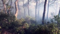 Heybeliada'da orman yangını (4) - İSTANBUL