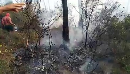 Heybeliada'da vatandaşlar da yangın söndürme çalışmalarına katıldı