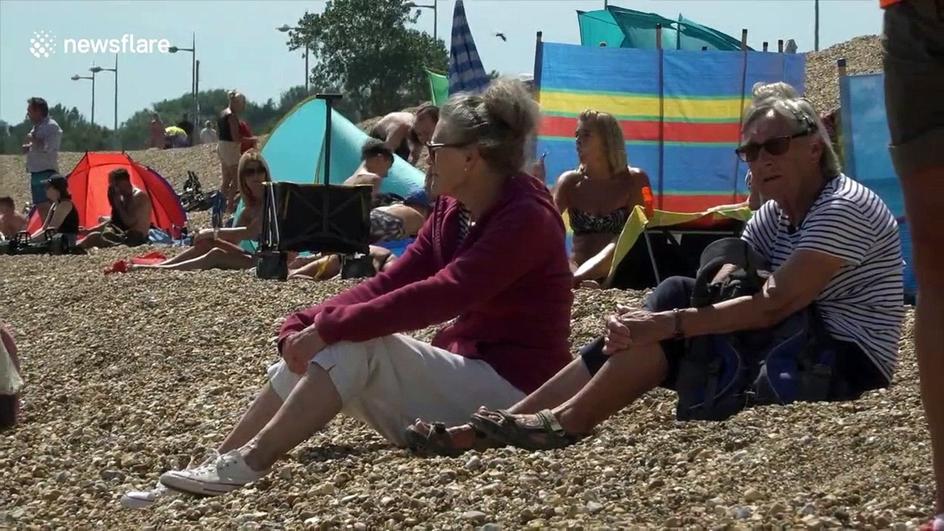 Sammy The Seal Soaks Up The Sun On Weymouth Beach Video Dailymotion