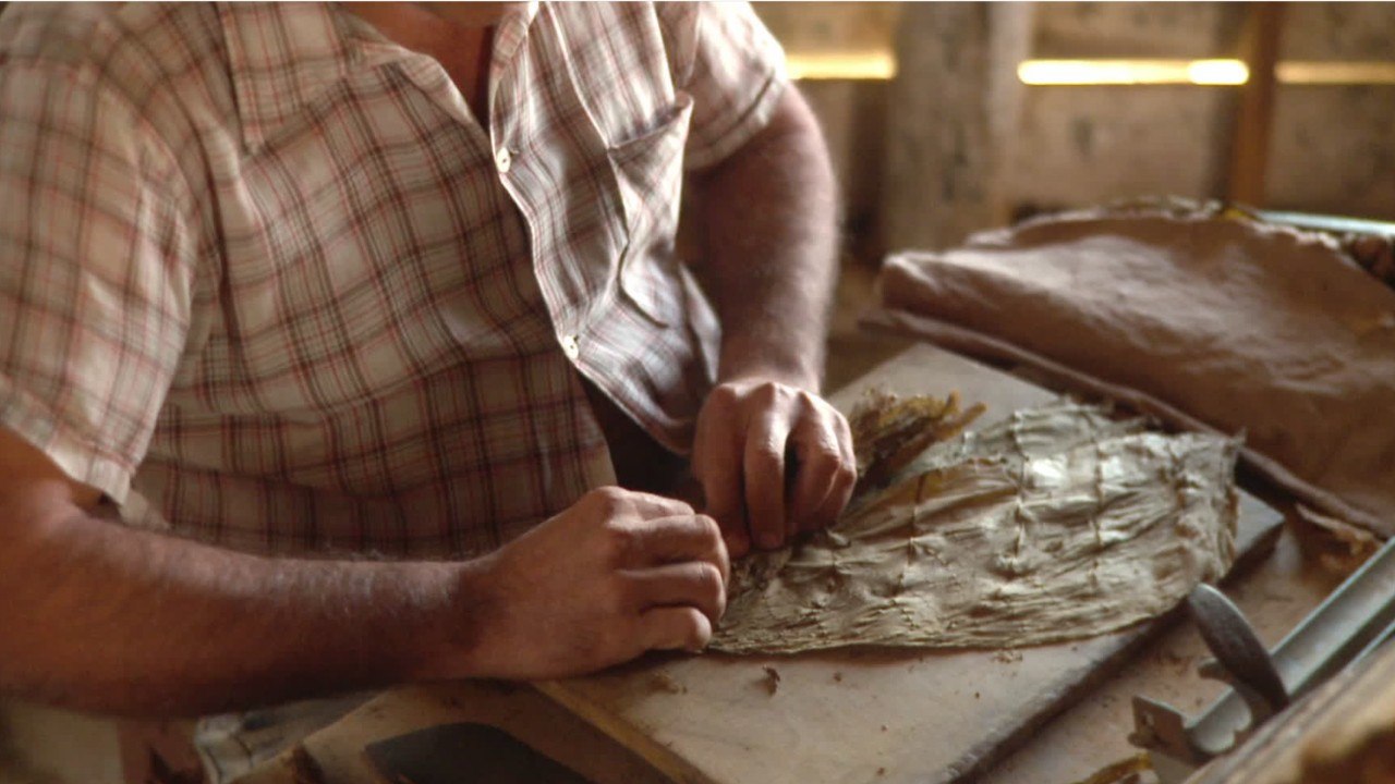 Why Are Cuban Cigars So Expensive?