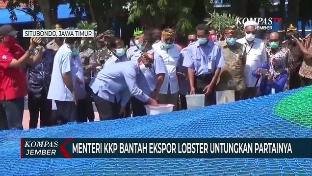Edhy Prabowo Bantah Ekspor Lobster Untungkan Partai Gerindra
