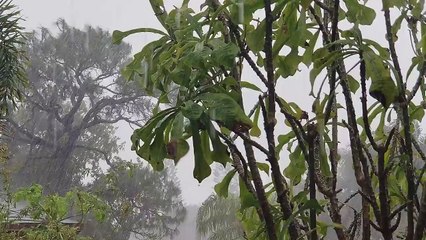 Relaxing Music & Rain Sounds - Beautiful Piano Music, Background Music, Sleep Music