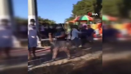 Heybeliada'da çıkan orman yangınında vatandaşlar pet şişelerle su taşıdı