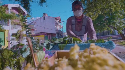 Abogada boliviana sale a la calle a vender eucalipto para obtener ingresos