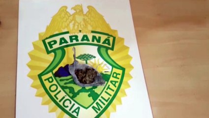 Adolescente é localizado com maconha durante abordagem no Bairro Universitário