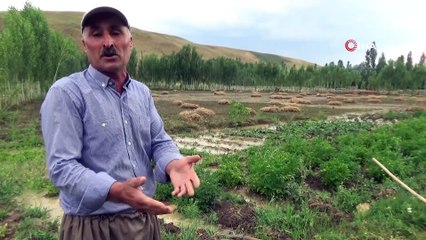 Yüksekova'da sel felaketi: 10 bin bağ ot ve bahçeler zarar gördü