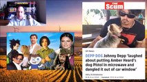 Amber Heard and the Sun Accuse Johnny Depp of DOG Abuse!